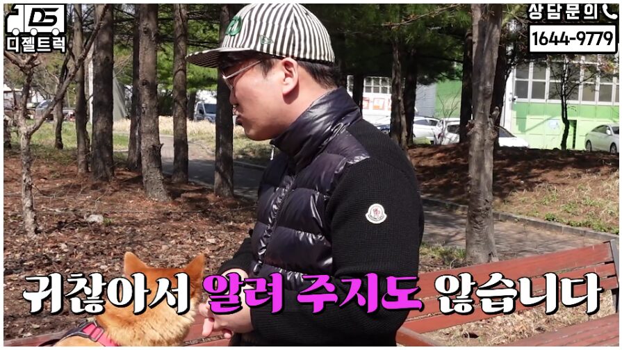 디젤트럭 상속받은 더쎈트럭 영업용번호판 개별넘버 매입